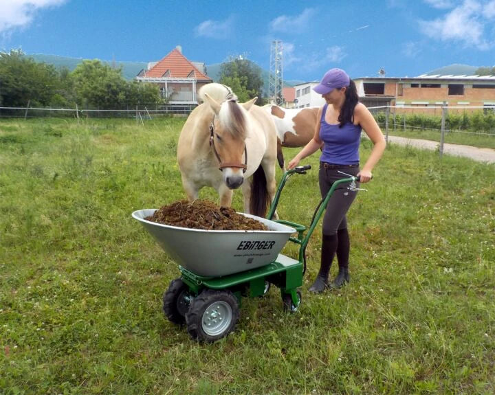 Carriola elettrica Donkey Plus Lithium 170 kg ad alta autonomia - immagine 11